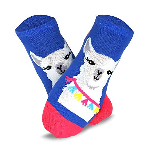 Image of Fun Novelty Low Cut Ankle Cute Socks School Dress Cheap Socks for Women Men Junior Teen 12pair 18pair
