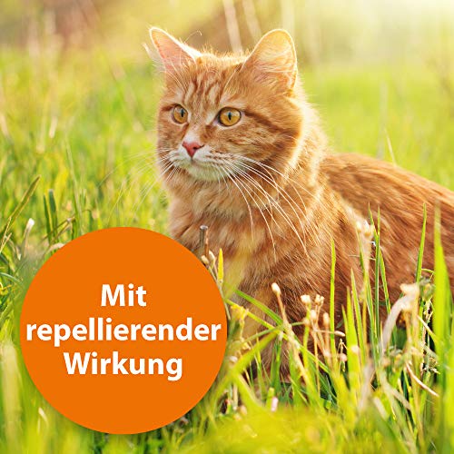 ARDAP Zecken- & Flohschutzhalsband für Katzen ab dem 4. Monat - Bis zu 4 Monate nachhaltiger Langzeitschutz - Natürlicher Wirkstoff gegen Zecken & Flöhe (PT19)