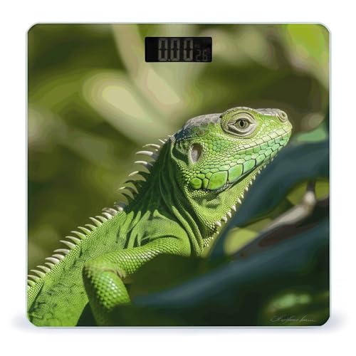 Báscula Digital para Baño con Pantalla LCD y Vidrio Templado
