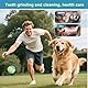 KITDAHOM 9er Hundespielzeug Set - Welpen Spielzeug - Baumwollmaterial - Fördert Zahnpflege, lindert Stress, verhindert Möbelbeschädigung - Für kleine Hunde, Hundespiel und Training (Grün)