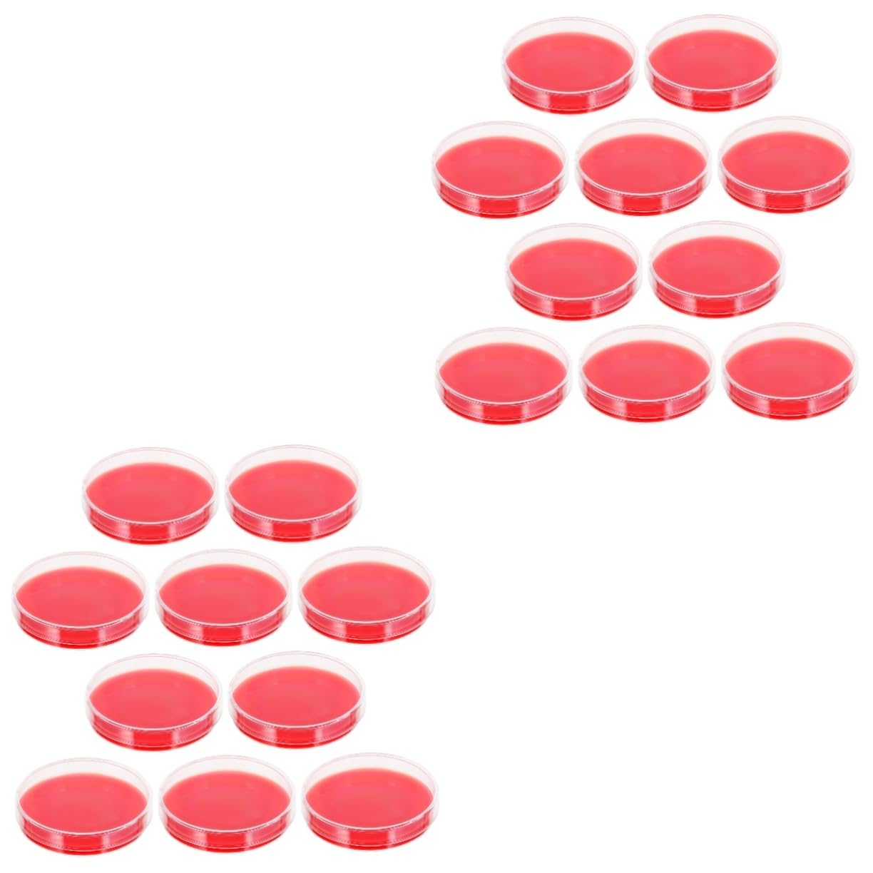 ULTECHNOVO 20piezas Placas De Agar De Para Cultivo Microbiológico Placas Petri Para Laboratorios Medio De Crecimiento Para Pruebas De Hemólisis y Cultivo De Estafilococos y Estreptococos