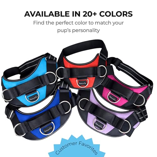 ShawnCo Essential Dog Harness, No-Pull Pet Vest with 3 Leash Clips, No Choke, Reflective, Adjustable and Padded, for Easy Walking and Training for Small, Medium and Large Dogs (Oceanic Blue, S) - Image 7