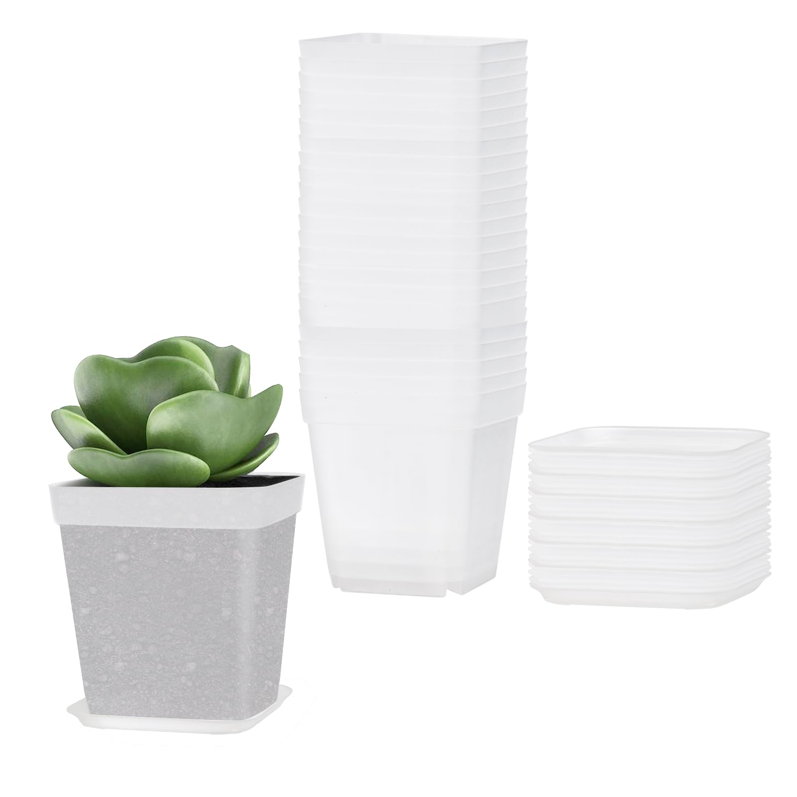 YOUNTHYE 24 macetas para orquídeas transparentes de 7 cm con platillo de plástico pequeñas macetas gruesas redondas para semillas, plántulas, suculentas, esquejes