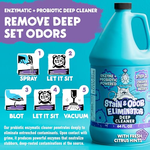 Calyptuspetstainandodorremoverorangeandenzymecleanerduosolutionforpets128oz64ozx2bottlescarpetcleanerandodoreliminatorforcaturinedogpeeandpoopprostrength  Urban Country Home Decor Calyptus pet stain and odor remover orange and enzyme cleaner duo solution for pets 128oz 64oz x 2 bottles carpet cleaner and odor eliminator for cat urine dog pee and poop pro strength  urban country home decor