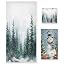 Winter Forest