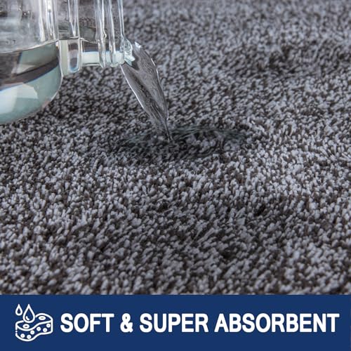 FCSDETAIL Schmutzfangmatte Innen 60 x 90 cm, rutschfeste Maschinenwaschbare Fußmatte, Sauberlaufmatte, Eingangstürmatte mit Wasserabsorbierenden, Fussmatte für Hund, Eingang, Haustür & Flur
