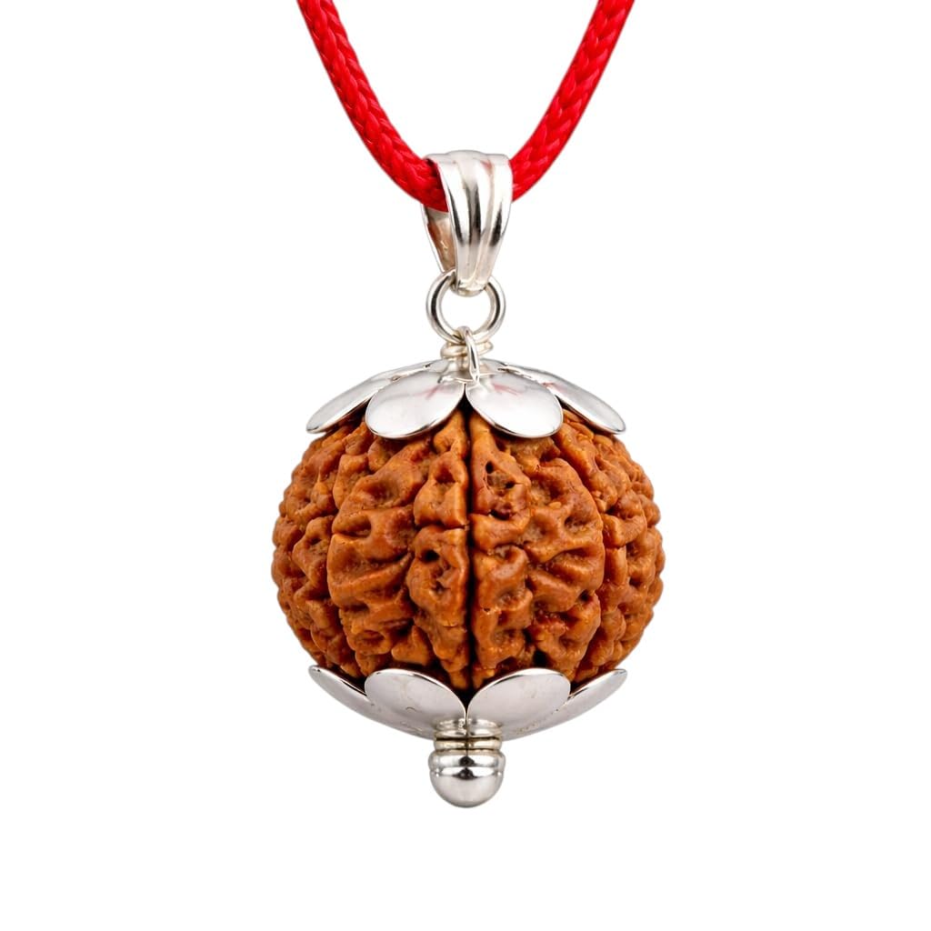 6 Mukhi Rudraksha Six Faced Nepali Rudraksh Pendant Rudraksha Pendant Original & Certified Rudraksha for Men and Women, Color Brown, Origin Nepal With Ganga Jal From Haridwar-image-5