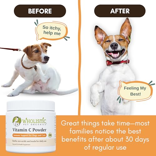Image of Vitamin C for Dogs and Cats, 4 oz, 113 Scoops, Cat & Dog Allergy Relief | Itchy Skin Relief for Dogs and Cats - Seasonal Allergy & Immune Support Supplement for Pets - 1000 mg Calcium Ascorbate
