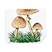 Cute Green Truffle Illustration Cleaning Cloth Screen Cleaner 2pcs Suede Fabric
