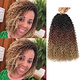Paraglame 8 Inch Ombre Yanky Twist Crochet Hair 8 Packs Pre-twist Bohemian Passion Twist Crochet Hair Pre-looped Yaki Senegalese Twist Crochet Hair Extensions for Women(1B/30/27#, 8Packs)