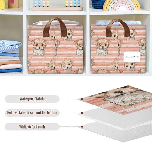 Panier de rangement pour étagères pour chiots et chiens cube