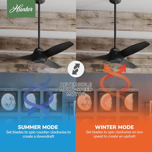 Image of Hunter Mosley, Outdoor or Indoor, Ceiling Fan, 52 inch, Matte Black