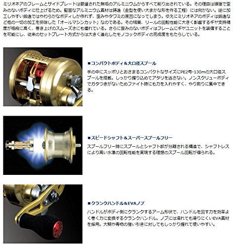 Daiwa 14 Millionaire 100L [Japan Import] : Amazon.de: Sport & Freizeit