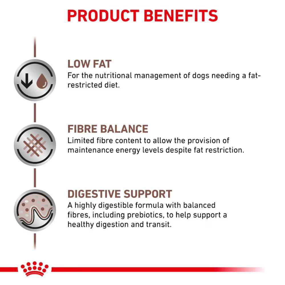 Royal Canin Veterinary Gastrointestinal Low Fat Mousse | 12 x 420 g | Mangime dietetico completo per cani adulti | Per il supporto digestivo e l'obesità.