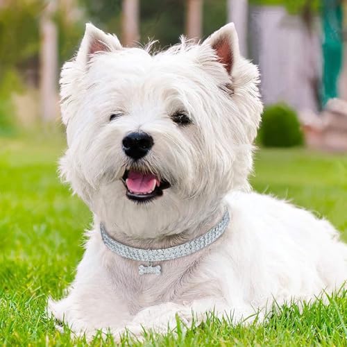 Haustierhalsband mit Diamanten, Hundehalsband, Katzenhalsband, Verstellbarer Kristalldiamant Elastischer Herzklauenanhänger Hochzeitskatze und Hund Kleiner Haustierhalskettenschmuck