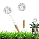HyJeryty Non-Clogging Iridescent 2 Pack Ball Plant Watering Globes with Terracotta Spikes, Hand Blown Glass Self Watering Planter Insert Plant Watering Devices Bulbs for Indoor and Outdoor Plants