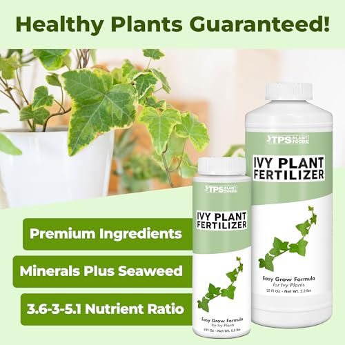 Ivy Plant Food – Fertilizante Líquido para Plantas de Hiedra, 8 oz miniatura 2