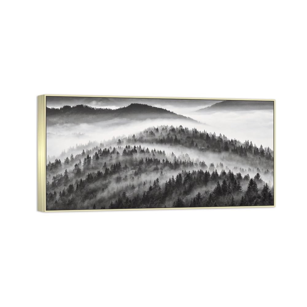 Tree Clouds 6 Black White Landscape Canvas Picture 50x100cm Silver Frame