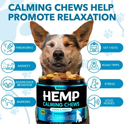 Hemp Calming Chews for Dogs with Anxiety and Stress  Dog Calming Treats  Dog Anxiety Relief  Storms Barking Separation  Valerian  Hemp Oil  Calming Treats for Dogs  Made in Usa  Cucciolini Doodles Hemp calming chews for dogs with anxiety and stress  dog calming treats  dog anxiety relief  storms barking separation  valerian  hemp oil  calming treats for dogs  made in usa   cucciolini doodles