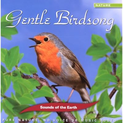 Gentle Birdsong
