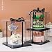 XININSUN 6Pcs Tall Cake Boxes Clear cake Box with Ribbon, 12x12x 10inch,Ideal for Large 10