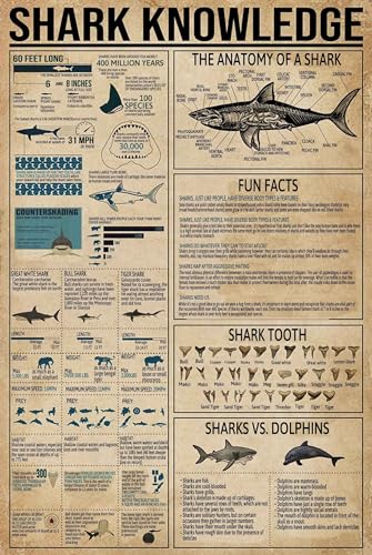 Lustiges Metall-Blechschild, Motiv: Hai, Retro-Poster, Schule, Bildung, Technologie, Museum, Wohnzimmer, Küche, Badezimmer, Heimkunst, Wanddekoration, Geschenk
