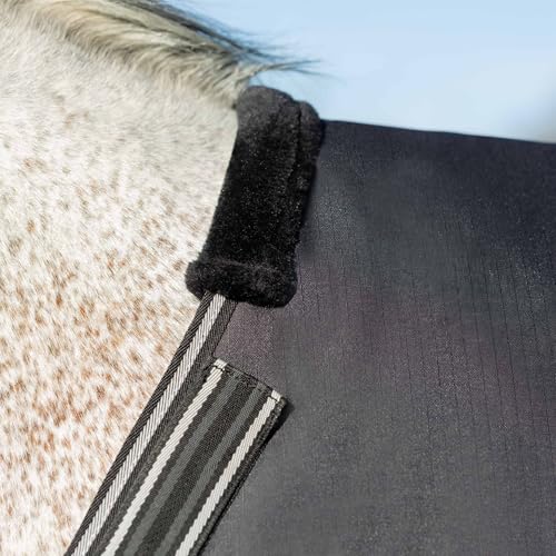 Image of Equinavia Norse Lightweight 100g Fill Horse Rain Blanket | Waterproof Turnout Sheet - Black - 66 in - Black - 66 in