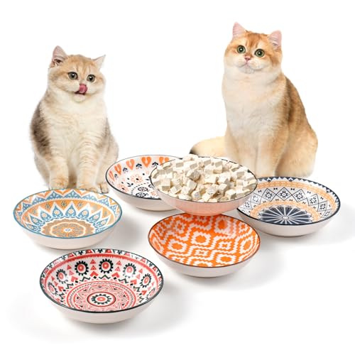 Katzennapf Flach Katzenfutter Napf Futternapf Keramik Katzenteller Katzenschüssel Fressnapf Katze Napf Katzenfressnapf Katzen Napfset Futternapf...