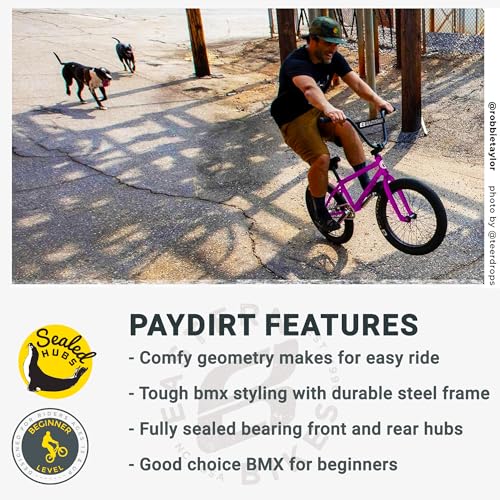 Eastern Bikes Paydirt Kids/Adults BMX Bike for Beginners - Multiple Colours, 20-Inch Wheels, Bar Pad for Street, Urban and Skatepark riding. (Light Purplish & Orange) - Image 3