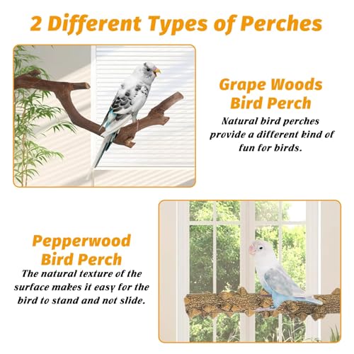Image of kathson 5pcs Natural Parrot Perch for Cage Wooden Bird Perches Grape Bird Stick Parakeet Climbing Standing Branches Toy Chewable Cage Accessories for Small Budgies Cockatiels Lovebirds Budgies