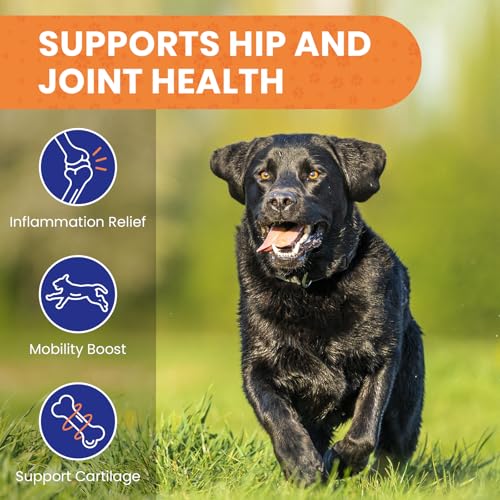 Calming Dog Treats, 150 Count Hemp Calming Treats For Dogs | Reduce Stress, Fear, Separation Anxiety, Barking, Hyperactivity, Reactivity, Aggression, Travel Issues | 100% Natural Dog Calming Treats - Image 4