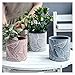 Plants Flower Pots Indoor Flower Plant Pots Modern Decorative Gardening Pot with Drainage Hole for All House Plants Flowers Herbs Cement Round Planter Gardening Pot (Color : B)