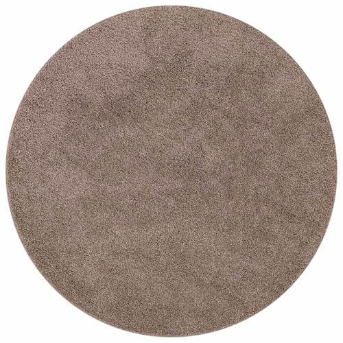 Design rotondo moderno: con le dimensioni di 160 x 160 x 2 cm e la sua forma rotonda, il tappeto marrone si inserisce armoniosamente nel design della tua stanza. Il design senza tempo può essere facilmente combinato con diversi stili di mobili e decorazioni stagionali.