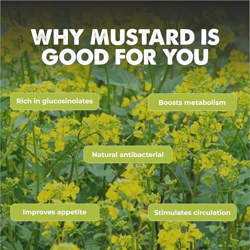 Image of Mustard (Sarson) (800+ Seeds) Vegetable Seeds for Home Garden, Organic & Hybrid, Perfect for Home Gardening, Planting For Pots and Patio