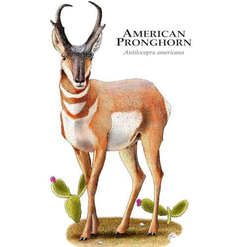 Taza de cerámica de 11 oz con diseño American Pronghorn miniatura 3