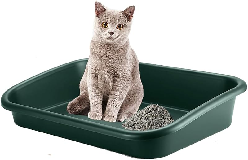 Caixa de Areia Extra Grande para Gatos com Entrada Baixa e Laterais Altas BOHESI Verde