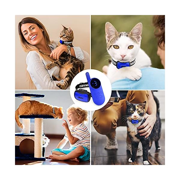 Vibrating Cat Collar NO Shock Cat Training Collar with Remote