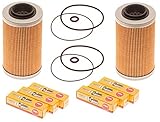 Sea Doo 4-Tec Maintenance Kit Oil Filter W/O-Ring & NGK Spark Plugs 2 Pack