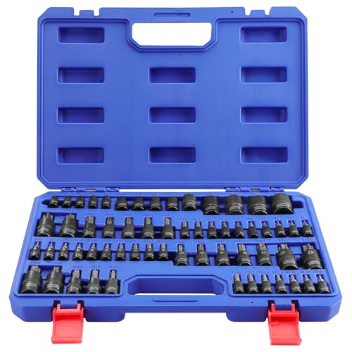 WORKPRO Jeu de 60 Douilles Torx, Torx Intérieur et Extérieur 1/4