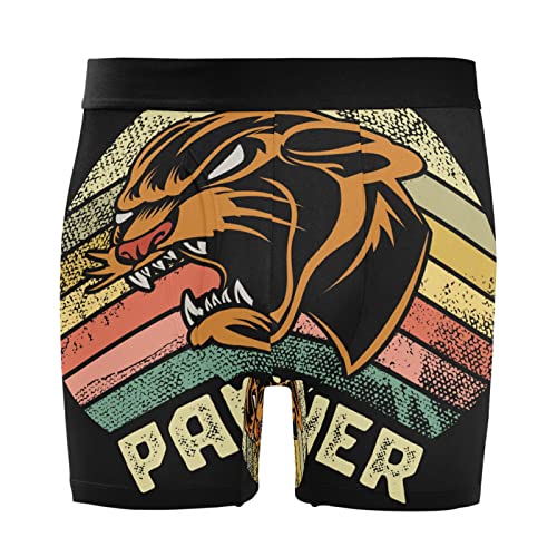 Bóxer para hombre calzoncillos pack de 2 ropa interior elástica cómoda leopardo tigre