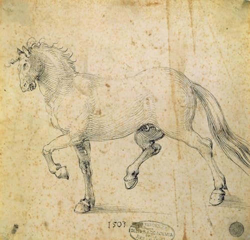 Pintura de caballo de Albrecht Dürer en lienzo de alta calidad decorativo 60x90