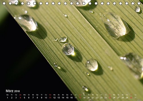 Der vegane Küchenkalender (Tischkalender 2018 DIN A5 quer): Foodfotografie für die fleischlose Küche (Monatskalender, 14 Seiten ) (CALVENDO Lifestyle) [Kalender] [Apr 01, 2017] Weis, Stefan
