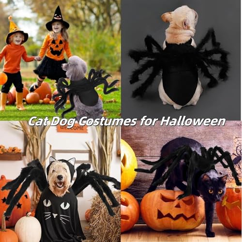 Halloween Spinnenkostüm für Hund Katze Verstellbare Spinnenkostüme für Kleine Mittlere Hunde Katzen Leerer Herzzylinder (A)