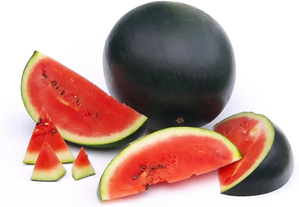 Melone – Die gesunde Sommererfrischung 11 20 Samen Wassermelone Sugar Baby Melonen Obst Garten Watermelon Seeds Melonesamen