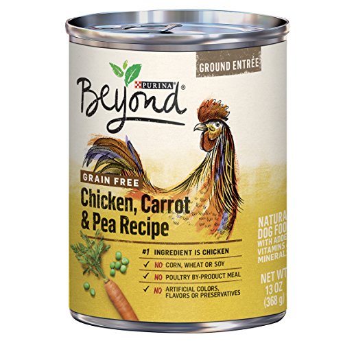 Purina Beyond Grain Free, Natural Pate Wet Dog Food, Grain Free Chicken, Carrot