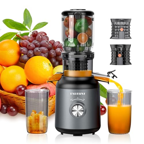 Exreizst Máquinas exprimidoras de prensa en frío de 250 W, canal de 103 mm de ancho para frutas y...