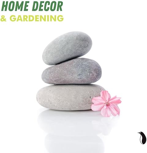 Miniatura 7 de PGN 40 rocas de río para pintar  Estimula la creatividad de tus hijos con nuestras rocas de pintura para niños  Pintura plana y lisa  Pintura de