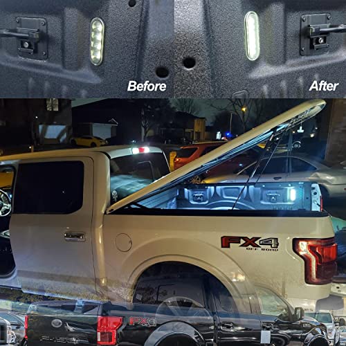 Luces LED para caja de camioneta compatible con F150 y Super Duty miniatura 5