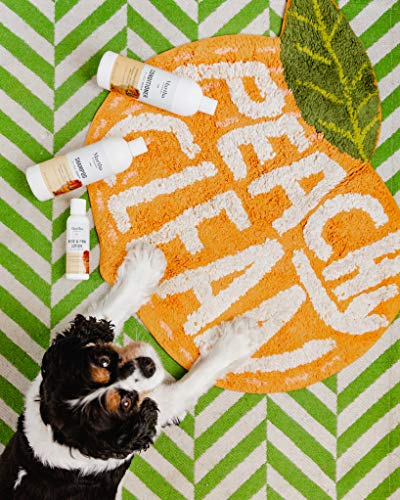 Combo-Pack-Martha-Stewart-Moisturizing-Shampoo-for-Dogs-with-Dry-Itchy-Skin-and-Nose-and-Paw-Lotion-Dog-Grooming-Supplies-Dog-Shampoo-Dog-Wash-Moisturizing-Dog-Bath-Supplies