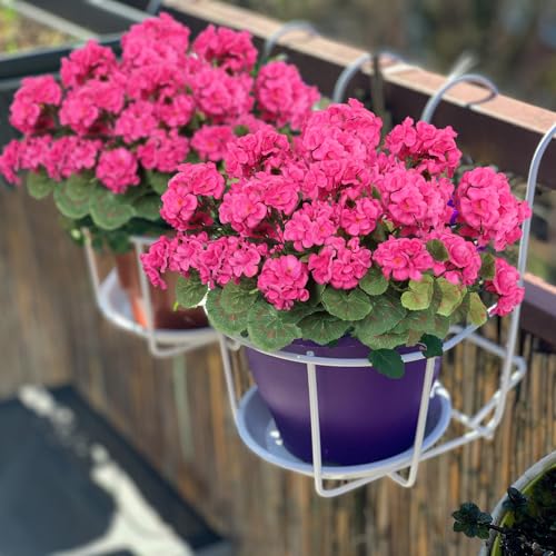 Dremisland 6 Pack Artificial Geranium Flowers for Outdoors Red Geranium Silk Flowers Outdoor UV Resistant Garden Plants Bush Faux Flowers for Home Wedding Table Centerpieces Decor image 4